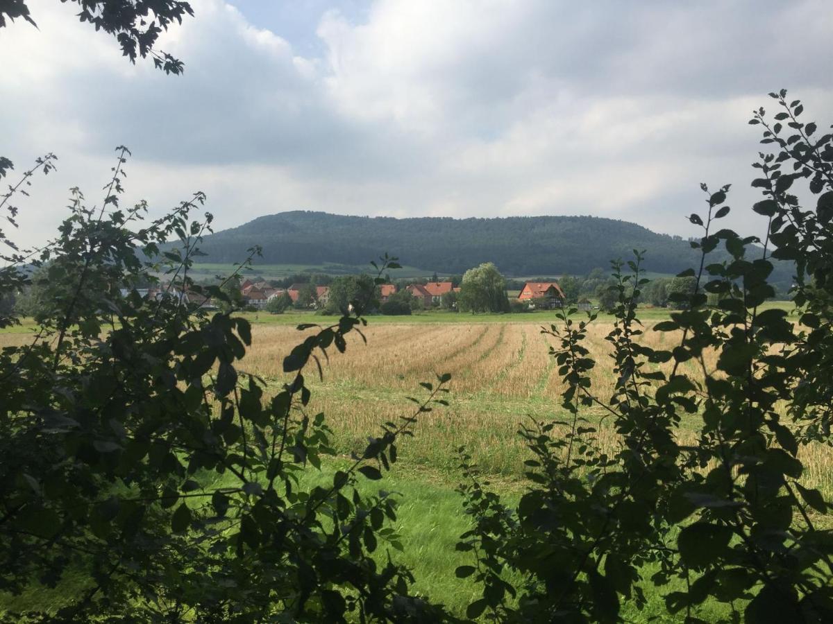 Modern Holiday Home Near River In Amelgatzen Emmerthal 외부 사진